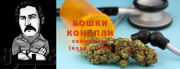стаф Володарск