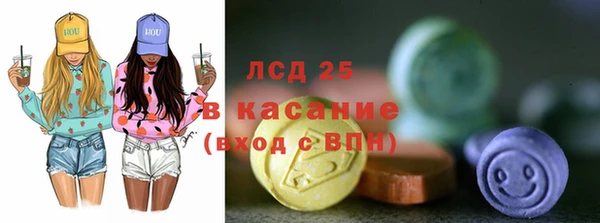 дживик Верхний Тагил