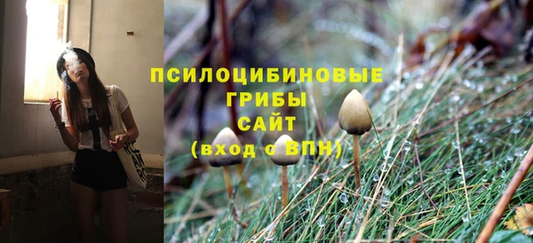 тгк Бугульма