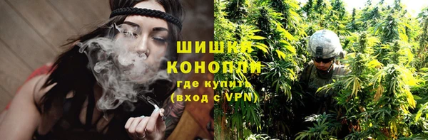 дживик Верхний Тагил