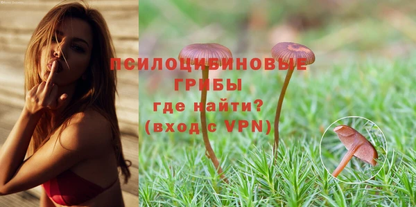 стафф Верхнеуральск