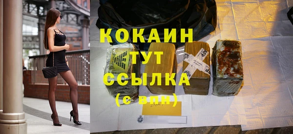 дживик Верхний Тагил
