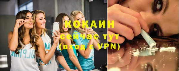 трава Верея